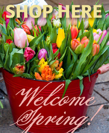 Spring Treats